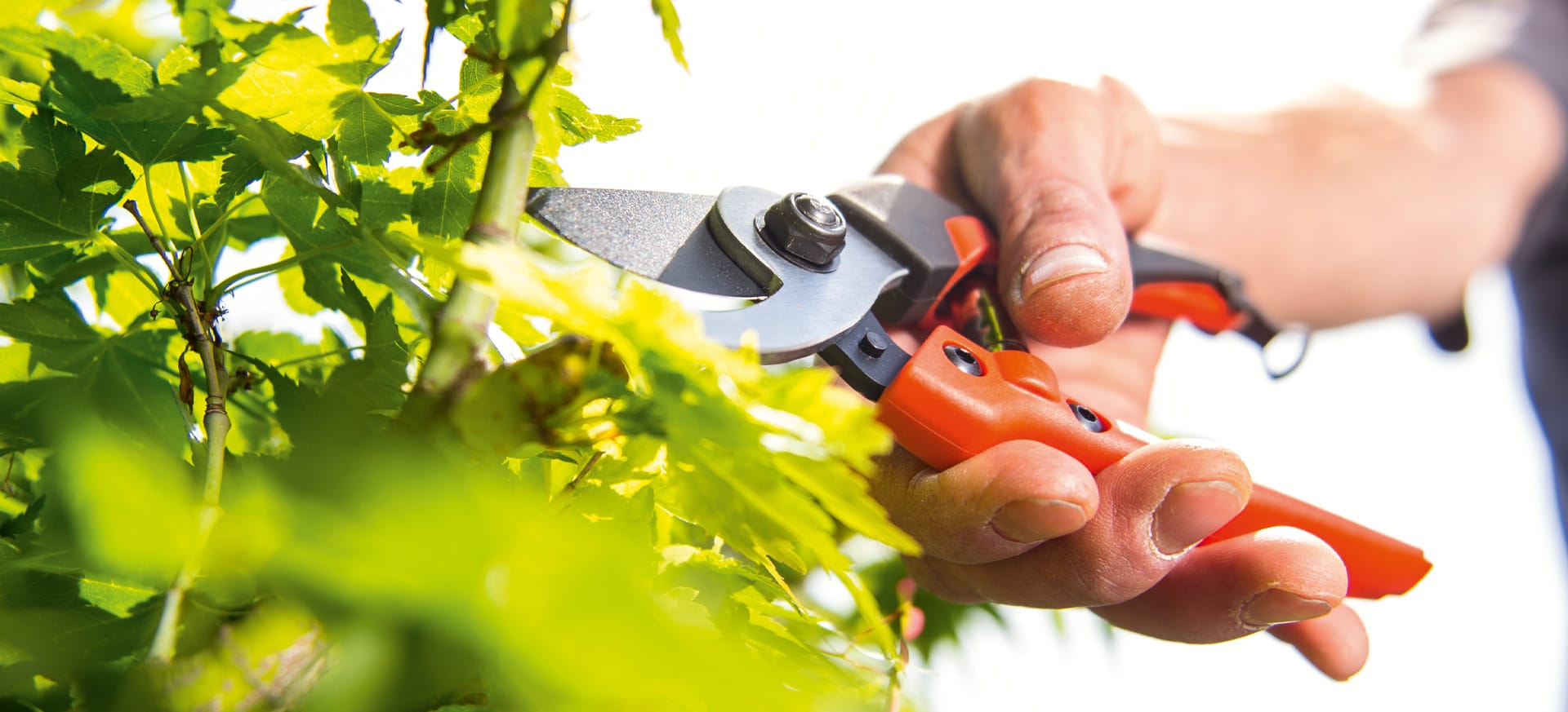 Gardening Tools