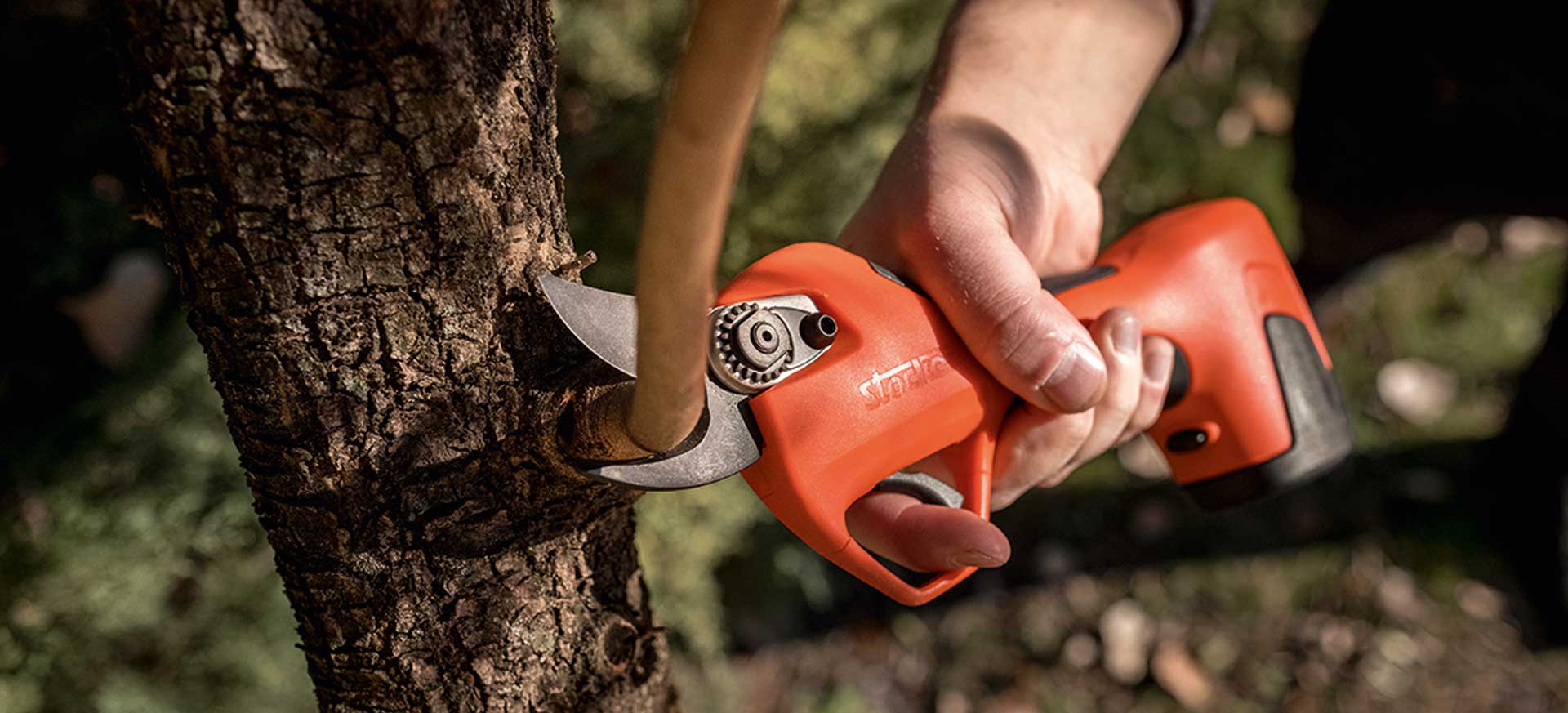 Electric Pruning Shears